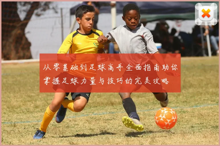 从零基础到足球高手全面指南助你掌握足球力量与技巧的完美攻略