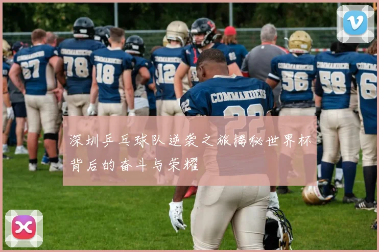 深圳乒乓球队逆袭之旅揭秘世界杯背后的奋斗与荣耀