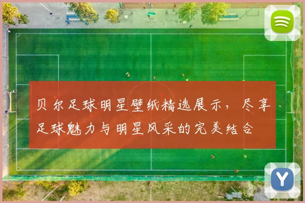 贝尔足球明星壁纸精选展示，尽享足球魅力与明星风采的完美结合