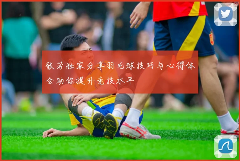 张芳独家分享羽毛球技巧与心得体会助你提升竞技水平