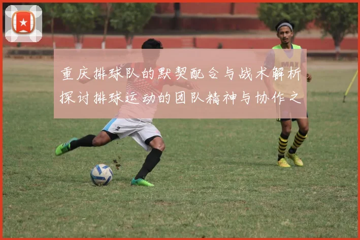 重庆排球队的默契配合与战术解析探讨排球运动的团队精神与协作之美