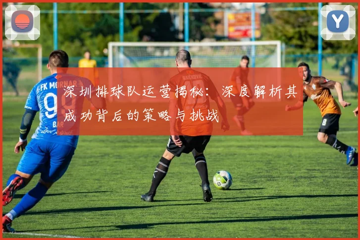 深圳排球队运营揭秘：深度解析其成功背后的策略与挑战